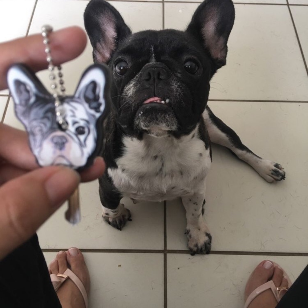 French bulldog silicone key cover - Picture 4 of 7